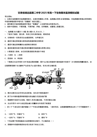 甘肃省靖远县第二中学2025年高一下生物期末监测模拟试题含解析