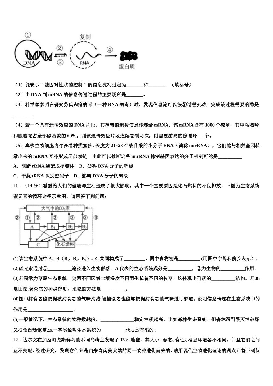 金川公司第一高级中学2024-2025学年生物高一第二学期期末学业水平测试模拟试题含解析_第3页