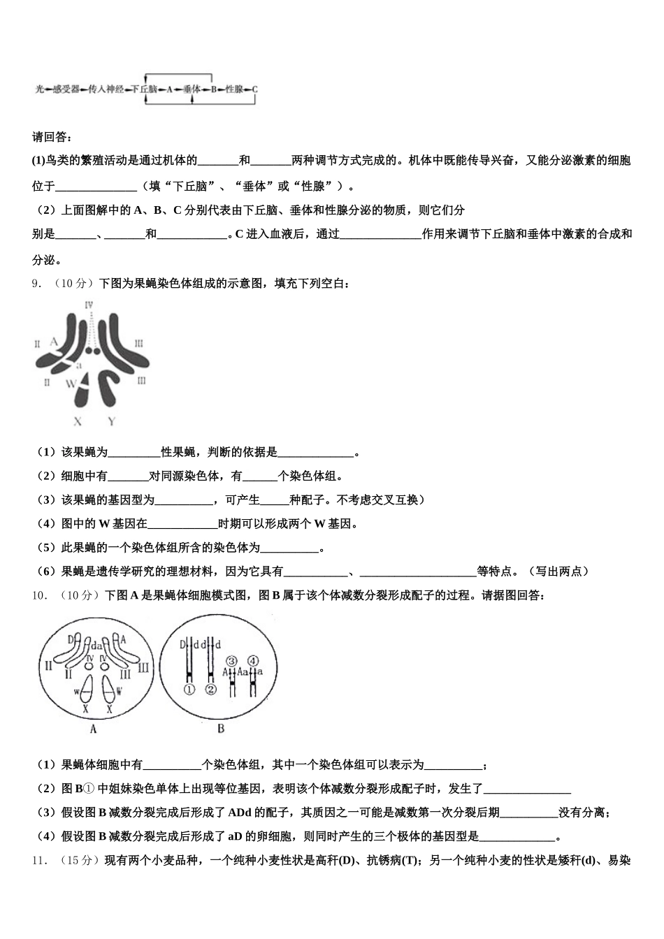 甘肃省武山一中2024-2025学年高一下生物期末综合测试模拟试题含解析_第3页