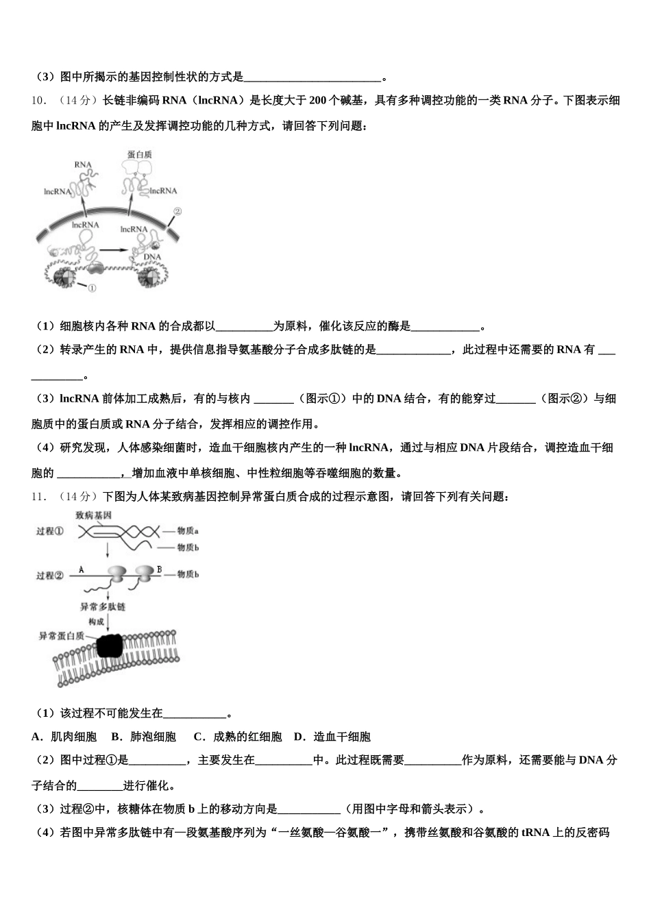 2025年甘肃省兰州市兰州第一中学生物高一第二学期期末复习检测模拟试题含解析_第3页