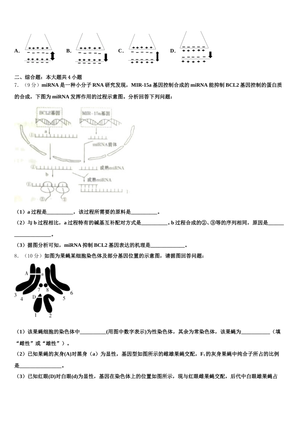 2025年甘肃省武威市民勤县第三中学生物高一第二学期期末质量跟踪监视试题含解析_第2页