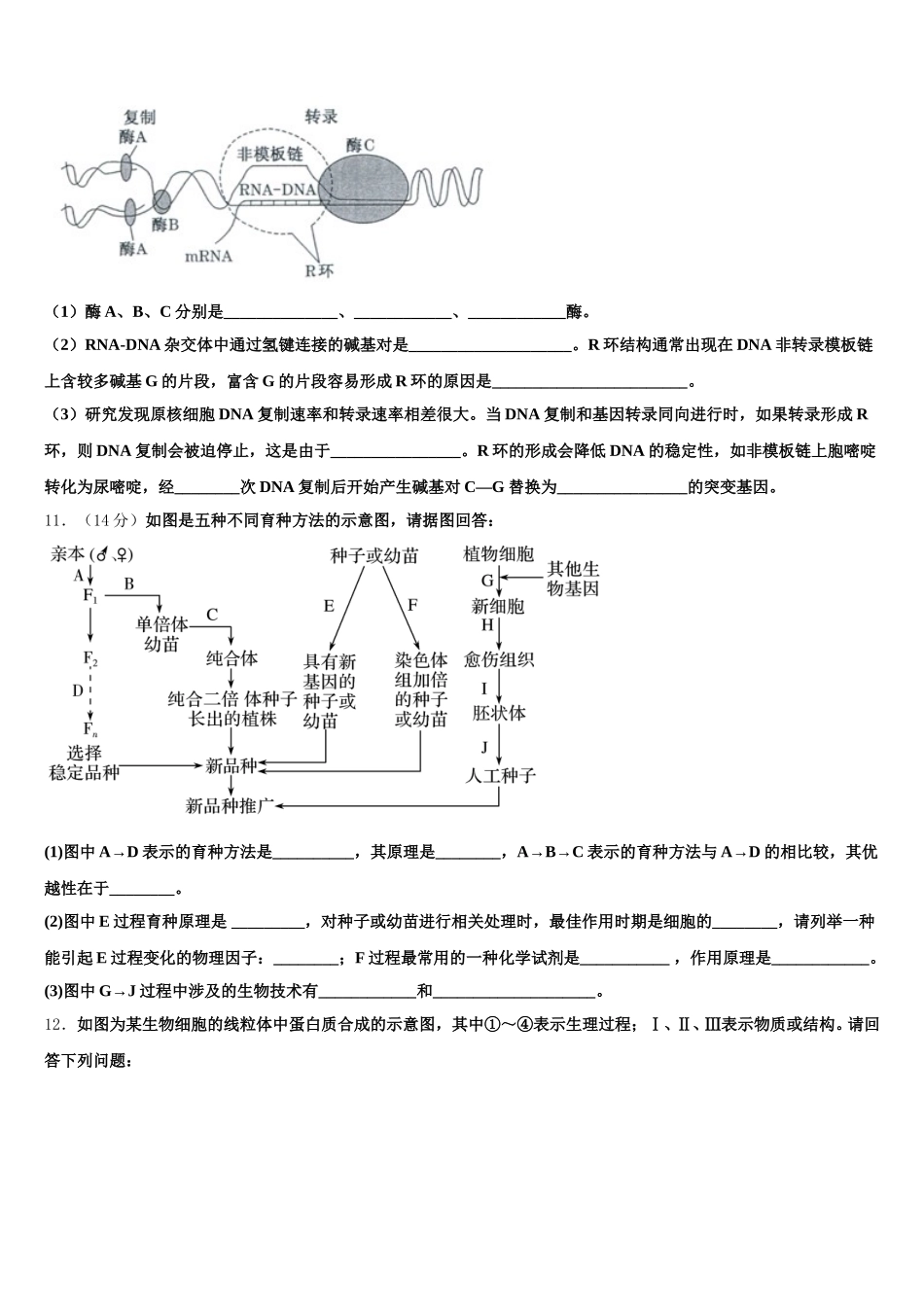 2024-2025学年甘肃省临泽一中高一生物第二学期期末考试试题含解析_第3页