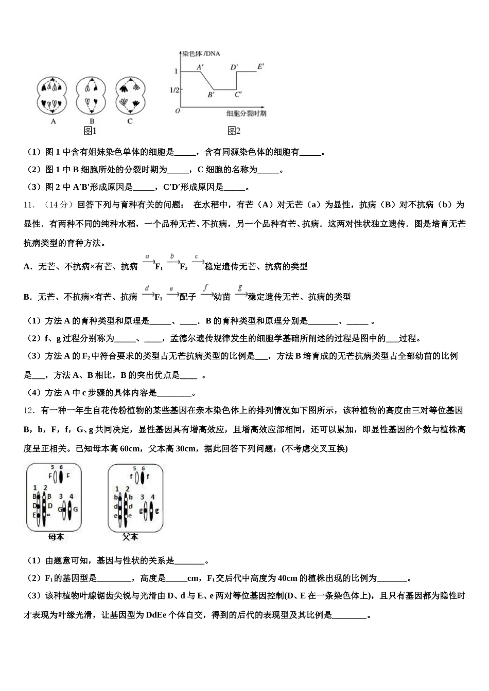 2024-2025学年甘肃省古浪县二中生物高一第二学期期末考试试题含解析_第3页