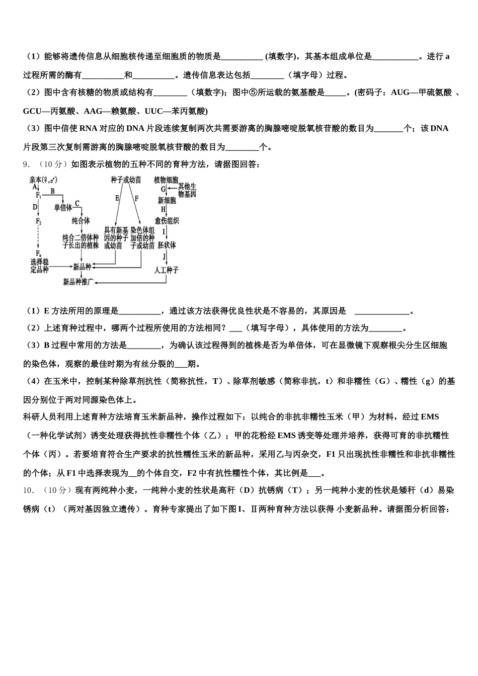 2025届甘肃省武威市第四中学高一生物第二学期期末综合测试试题含解析_第3页
