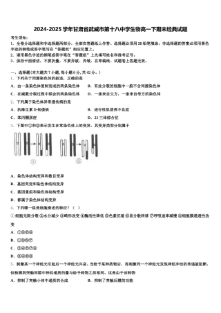 2024-2025学年甘肃省武威市第十八中学生物高一下期末经典试题含解析