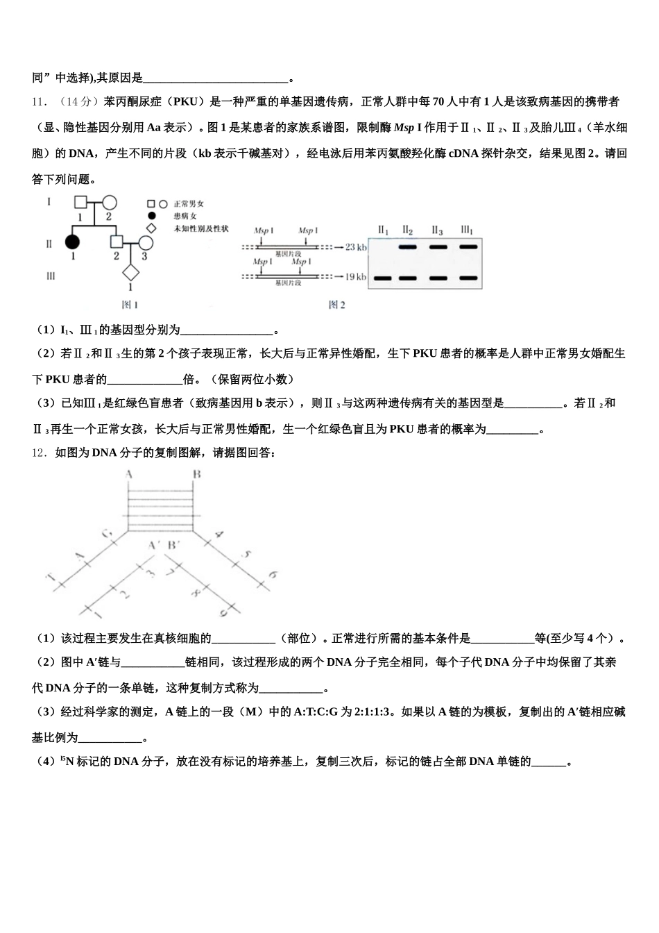 甘肃省金昌市永昌县第四中学2025届生物高一第二学期期末统考模拟试题含解析_第3页