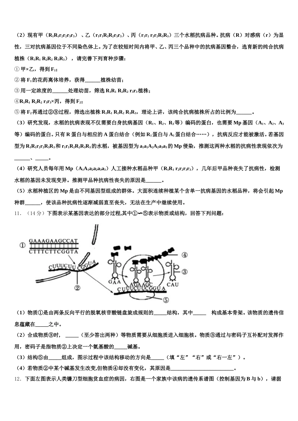 甘肃省天水市甘谷县2024-2025学年生物高一第二学期期末质量跟踪监视模拟试题含解析_第3页