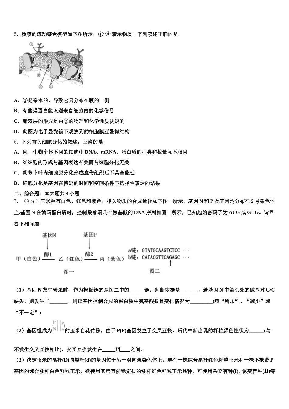 2024-2025学年甘肃省永昌县四中生物高一下期末调研试题含解析_第2页