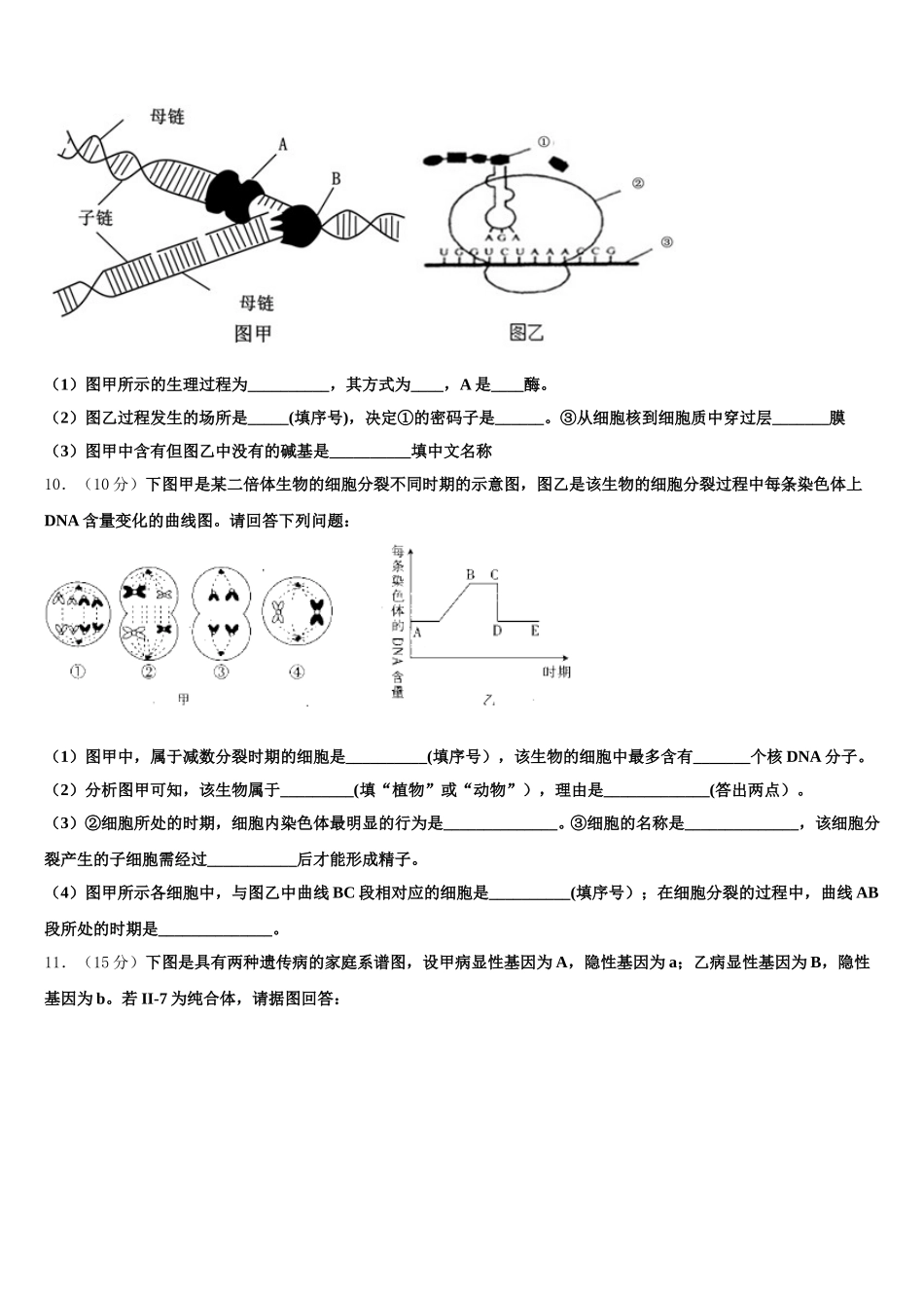 2024-2025学年甘肃兰化一中高一生物第二学期期末质量跟踪监视模拟试题含解析_第3页
