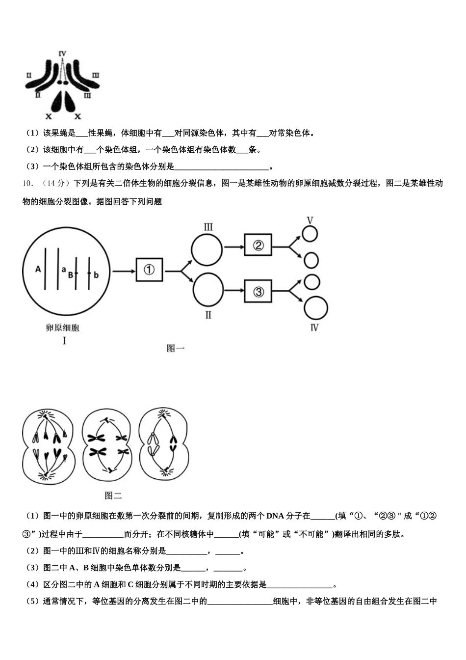 2025届甘肃省会宁县高一下生物期末学业水平测试模拟试题含解析_第3页