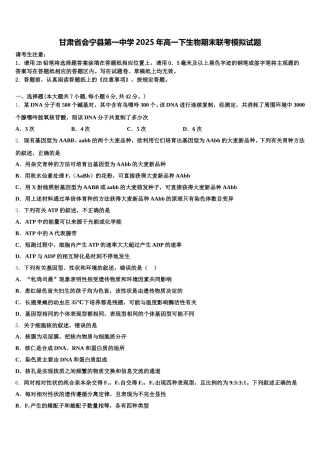 甘肃省会宁县第一中学2025年高一下生物期末联考模拟试题含解析