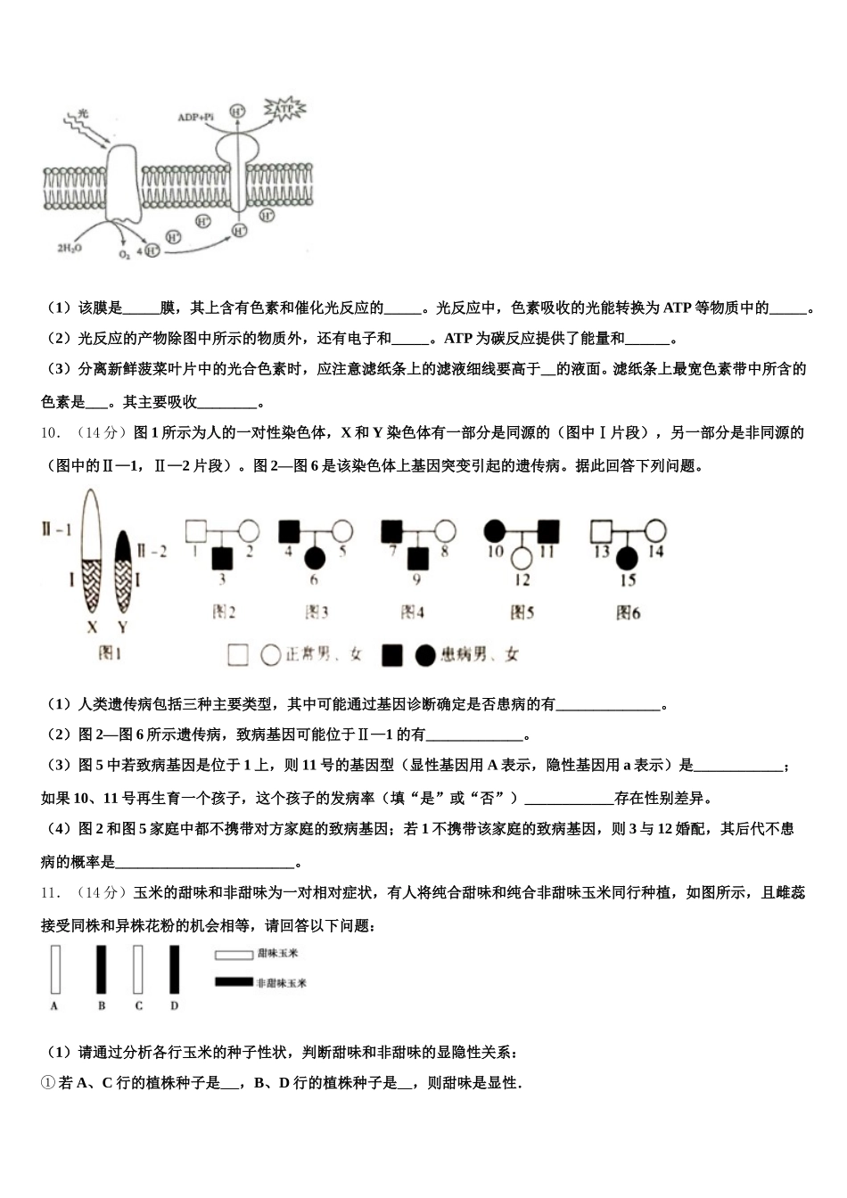 2025年甘肃省康县第一中学高一生物第二学期期末联考试题含解析_第3页