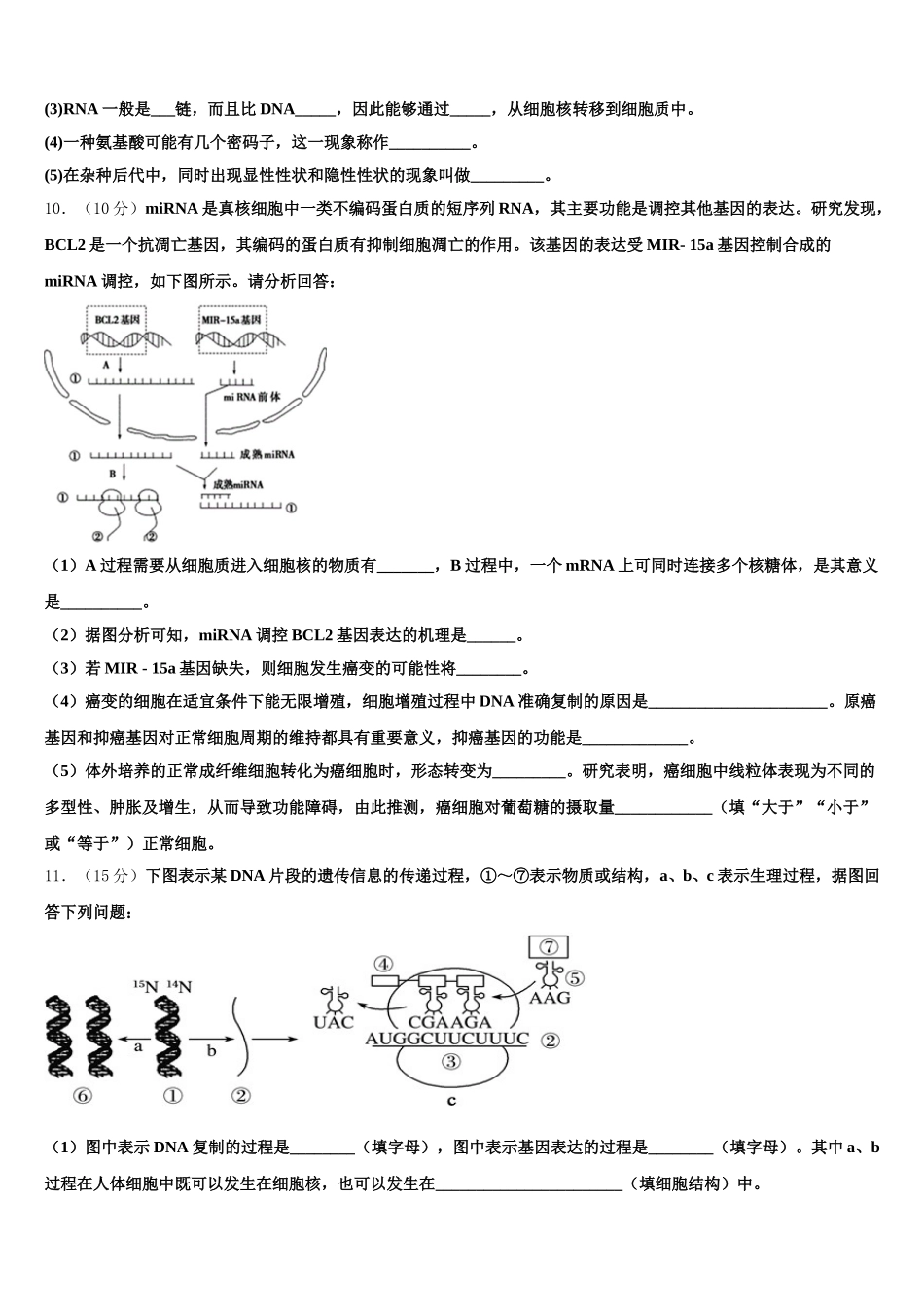 兰州市重点中学2024-2025学年高一生物第二学期期末教学质量检测模拟试题含解析_第3页