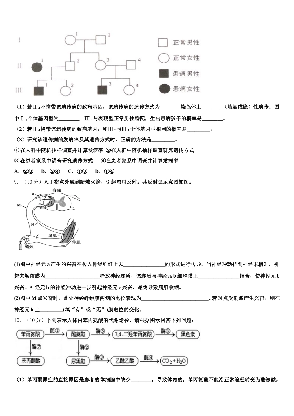 2025年甘肃省宕昌县第一中高一下生物期末统考试题含解析_第3页
