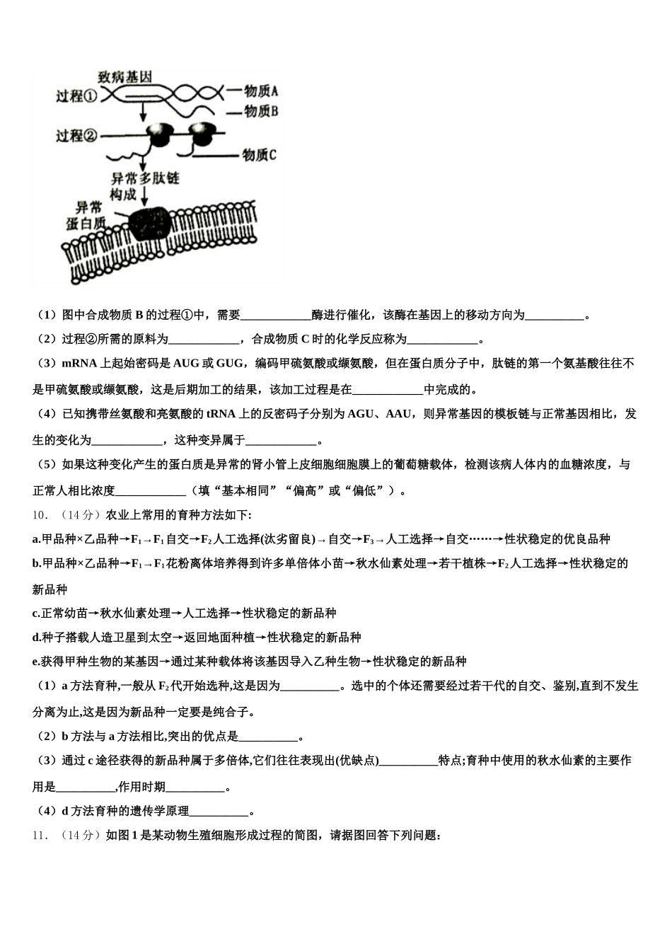 甘肃武山一中2024-2025学年生物高一第二学期期末综合测试试题含解析_第3页