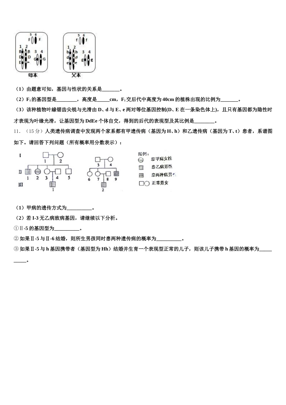 2025年甘肃省宁县二中高一生物第二学期期末考试模拟试题含解析_第3页