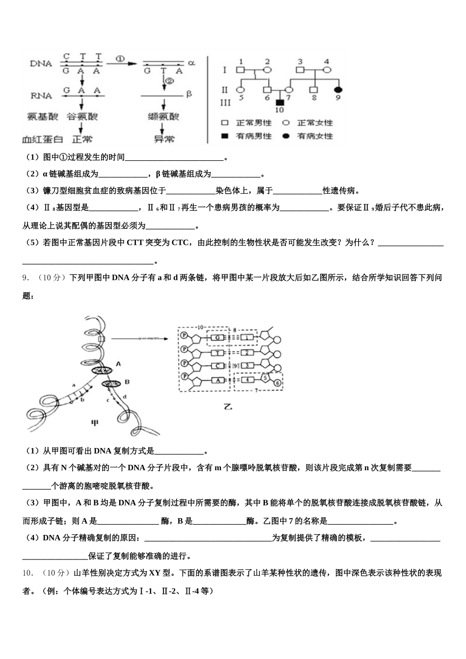 2024-2025学年甘肃省银川二中生物高一下期末统考模拟试题含解析_第3页