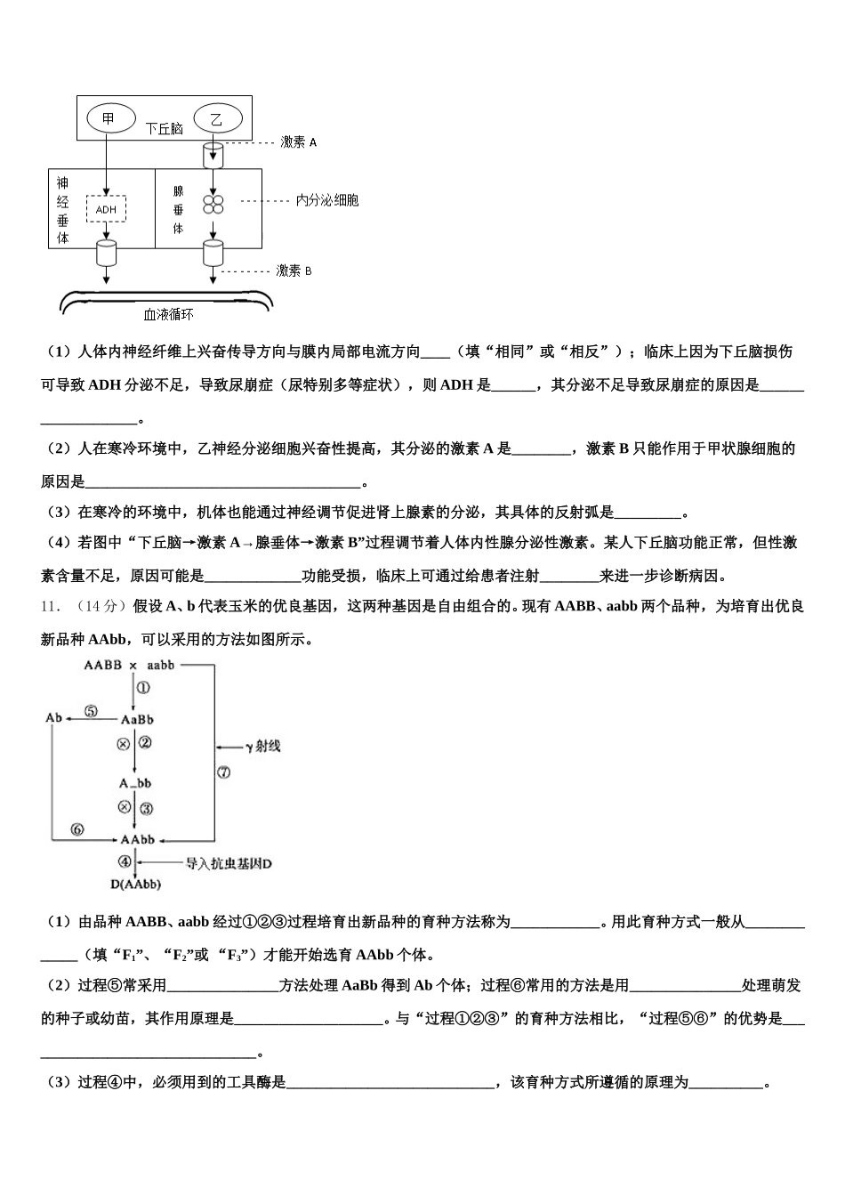 2025届甘肃省靖远第四中生物高一下期末检测模拟试题含解析_第3页