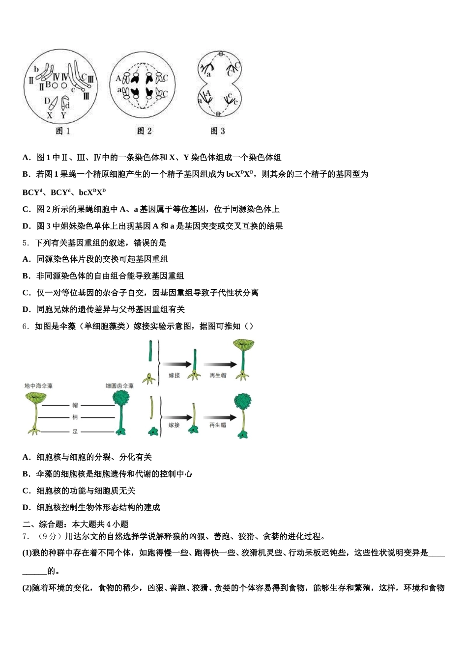 甘肃省兰州市示范初中2025届生物高一下期末检测模拟试题含解析_第2页