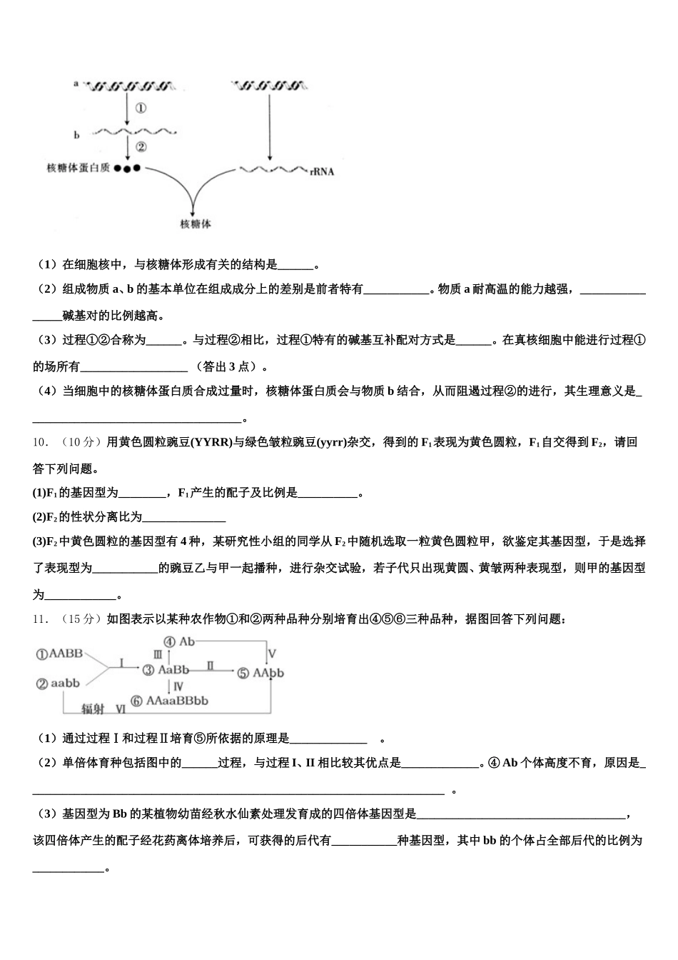2025年白银市重点中学高一生物第二学期期末达标检测模拟试题含解析_第3页