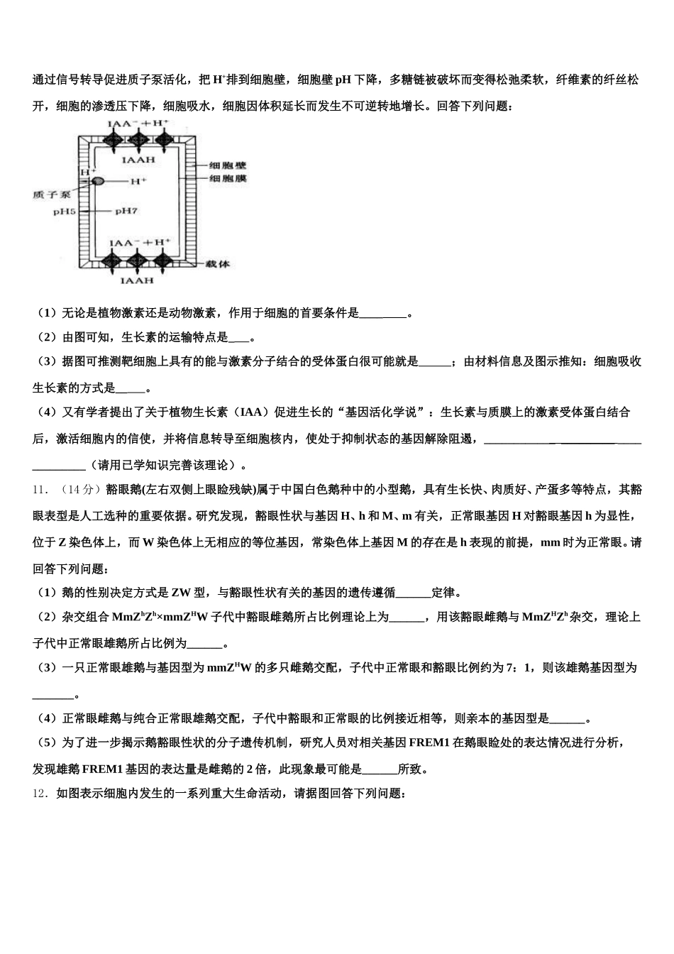 2025年甘肃省兰州市兰大附中高一生物第二学期期末考试试题含解析_第3页