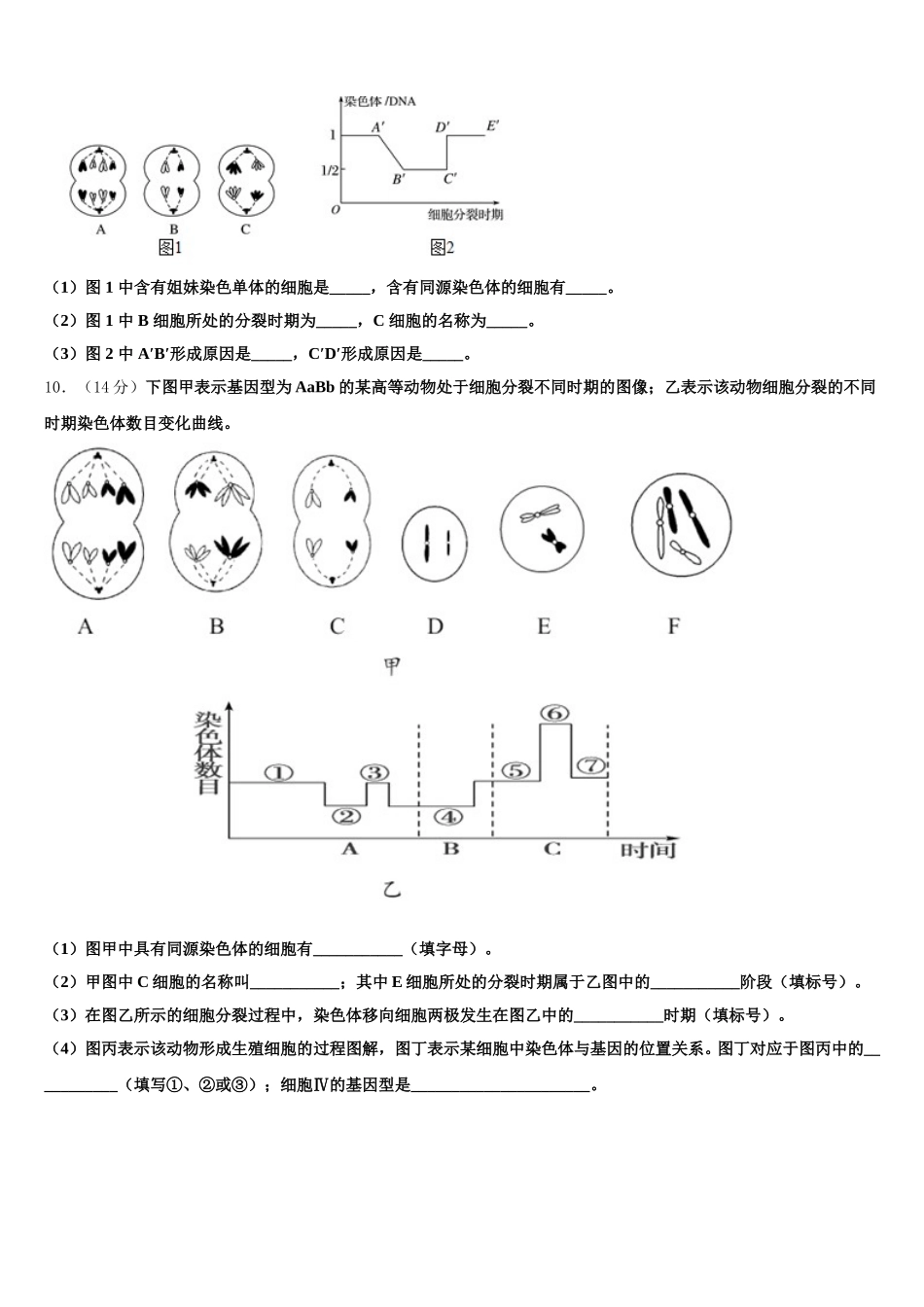 甘肃省天水市甘谷第一中学2025届高一下生物期末达标检测试题含解析_第3页