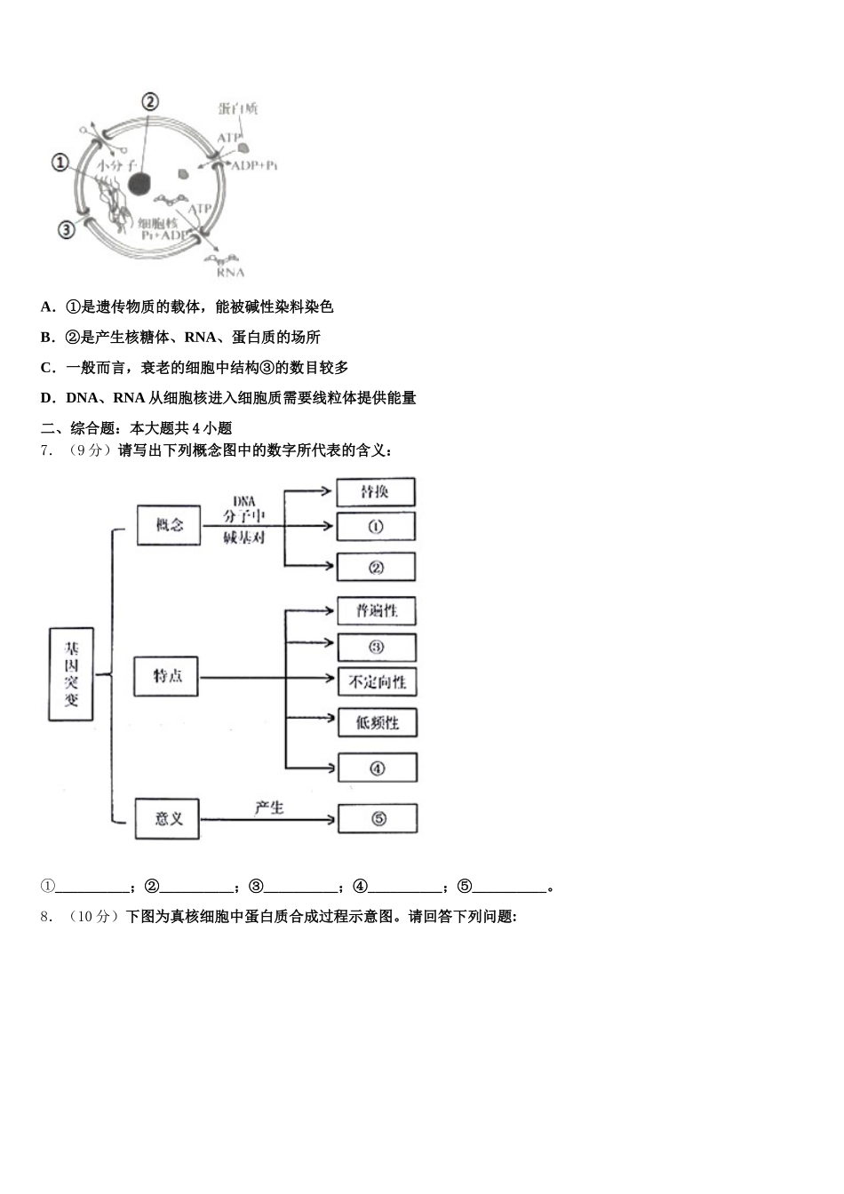 甘肃省庆阳市庆城县陇东中学2024-2025学年高一下生物期末检测试题含解析_第2页