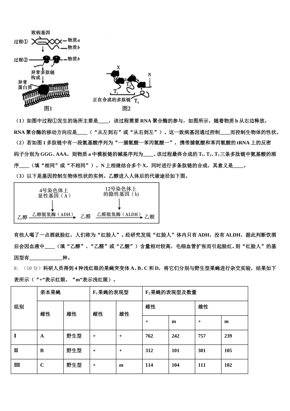 甘肃省庆阳市庆城县陇东中学2024-2025学年高一下生物期末检测试题含解析_第3页