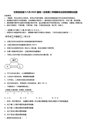 甘肃省武威十八中2025届高一生物第二学期期末达标检测模拟试题含解析