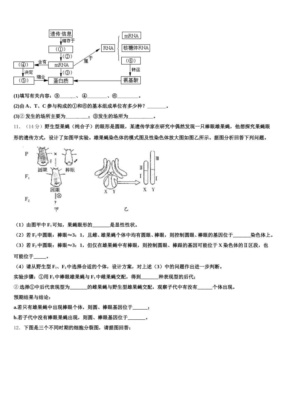 2024-2025学年甘肃省天水市五中生物高一下期末学业质量监测试题含解析_第3页