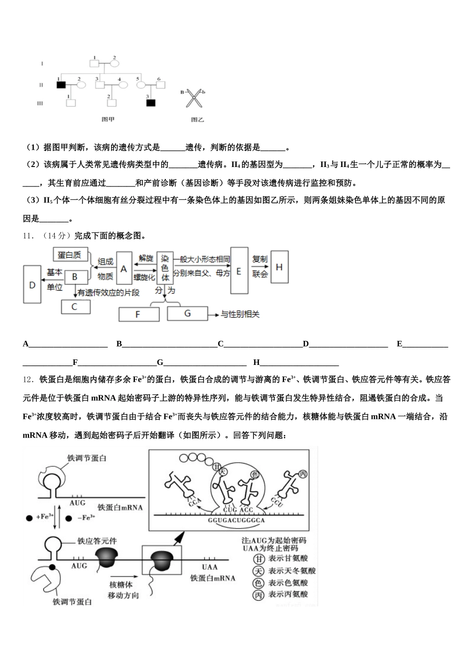 2024-2025学年甘肃省白银实验中学生物高一下期末复习检测试题含解析_第3页