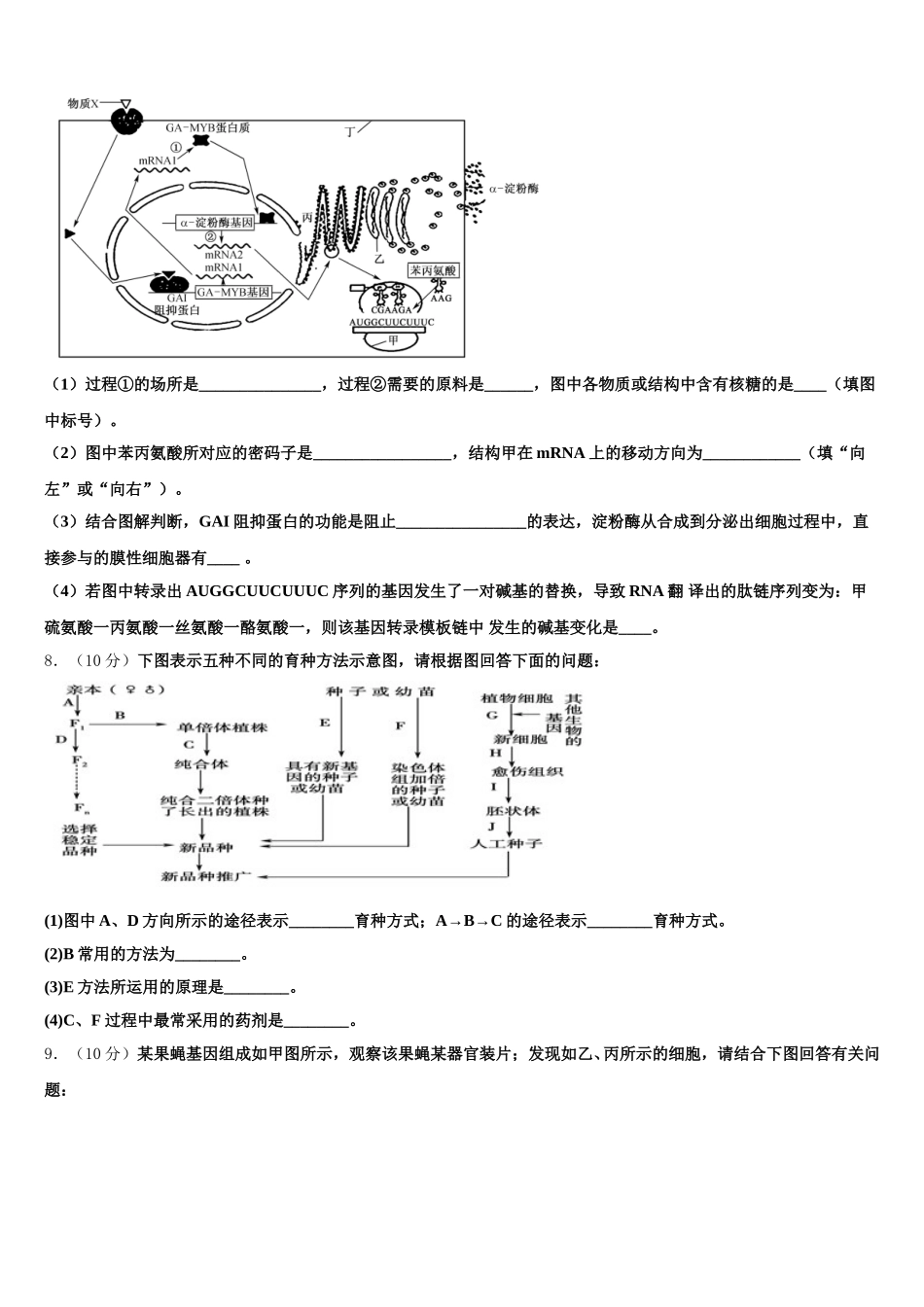 甘肃省白银市会宁县四中2025届生物高一第二学期期末复习检测模拟试题含解析_第3页