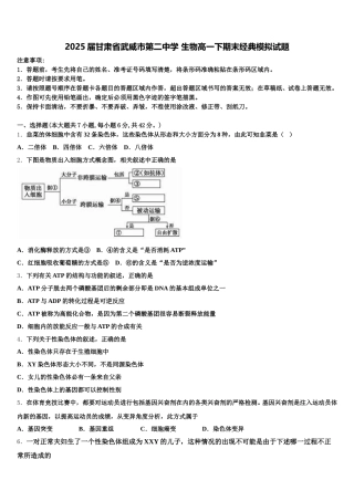 2025届甘肃省武威市第二中学 生物高一下期末经典模拟试题含解析