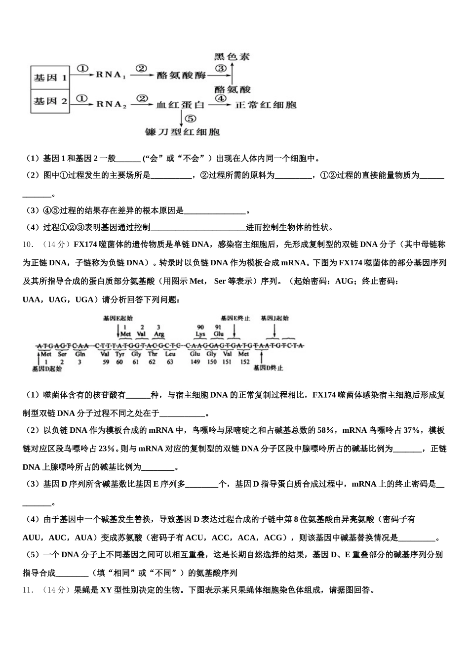 甘肃省徽县第三中学2024-2025学年高一生物第二学期期末统考模拟试题含解析_第3页