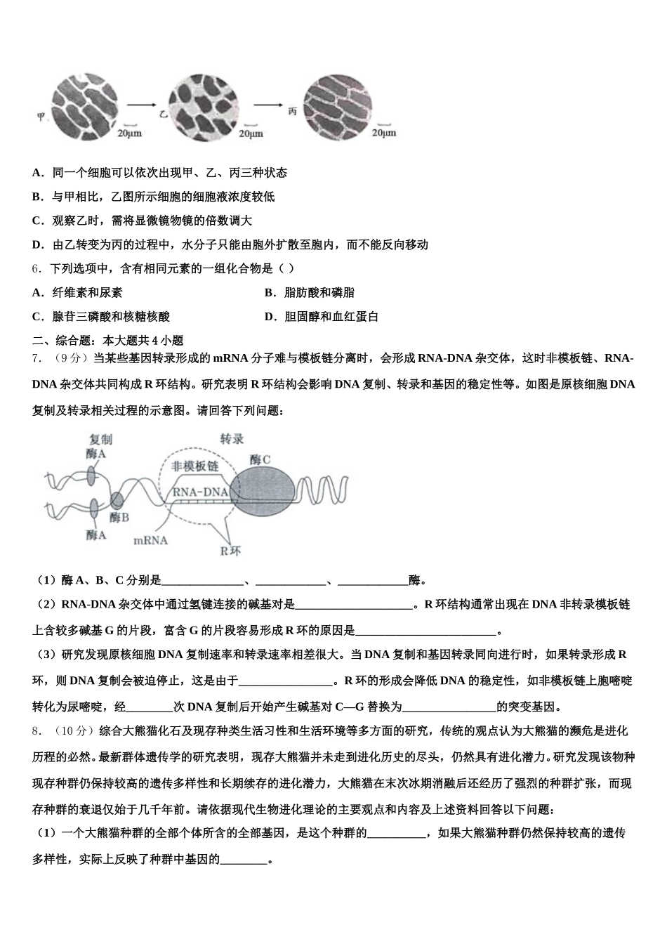 2024-2025学年甘肃省西北师范大学附属中学高一生物第二学期期末教学质量检测试题含解析_第2页