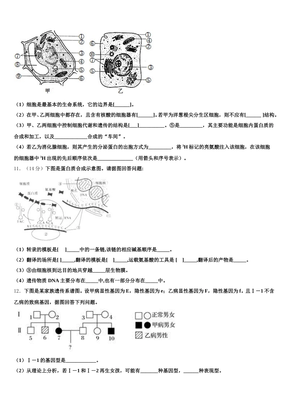 2025届甘肃省兰州市兰大附中生物高一第二学期期末检测模拟试题含解析_第3页