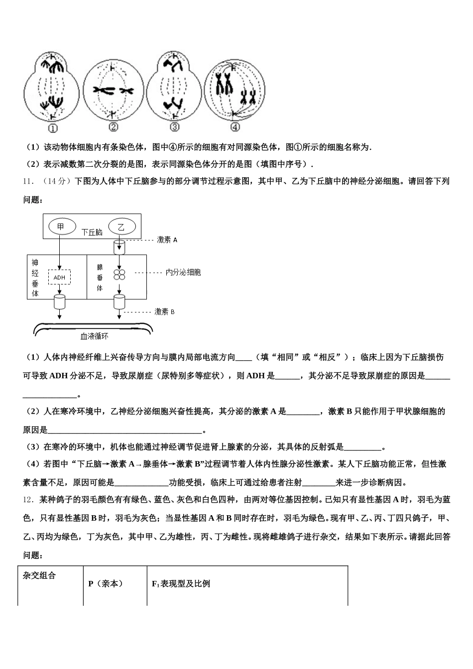 2024-2025学年天水市重点中学生物高一下期末达标检测模拟试题含解析_第3页