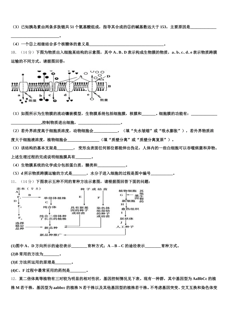 2025年甘肃省白银市会宁县第四中学生物高一下期末教学质量检测模拟试题含解析_第3页