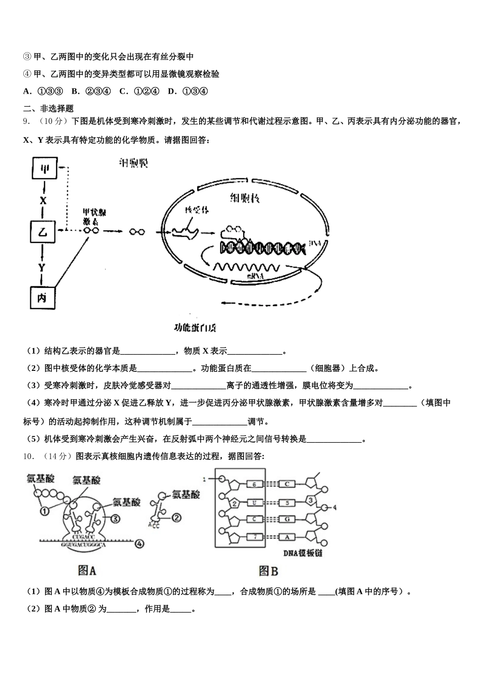 2024-2025学年甘肃省武威市民勤一中高一下生物期末联考模拟试题含解析_第3页