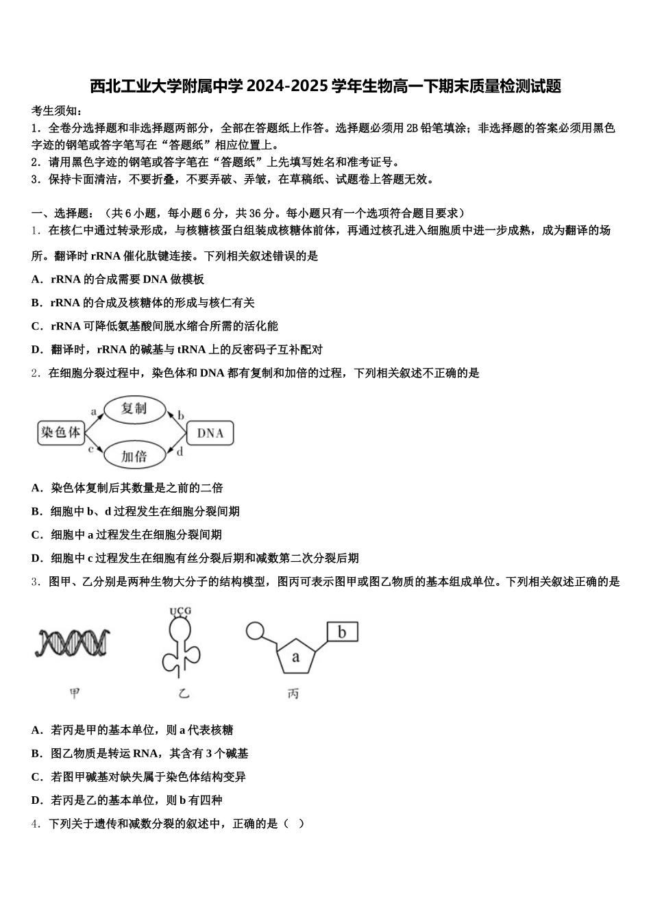 西北工业大学附属中学2024-2025学年生物高一下期末质量检测试题含解析_第1页