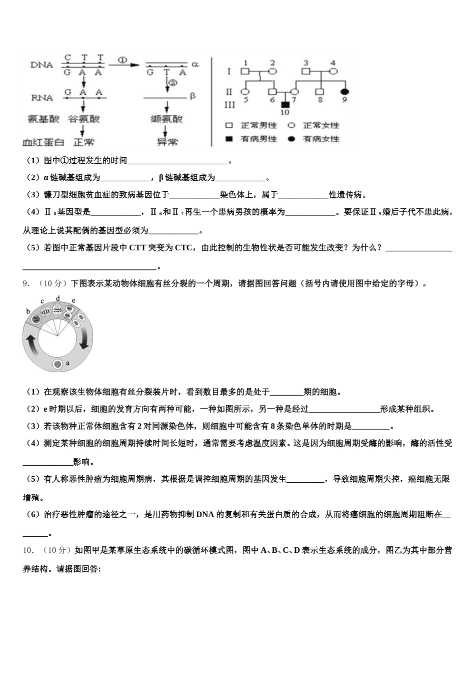 2024-2025学年甘肃省师范大学附属中学高一下生物期末质量检测试题含解析_第3页