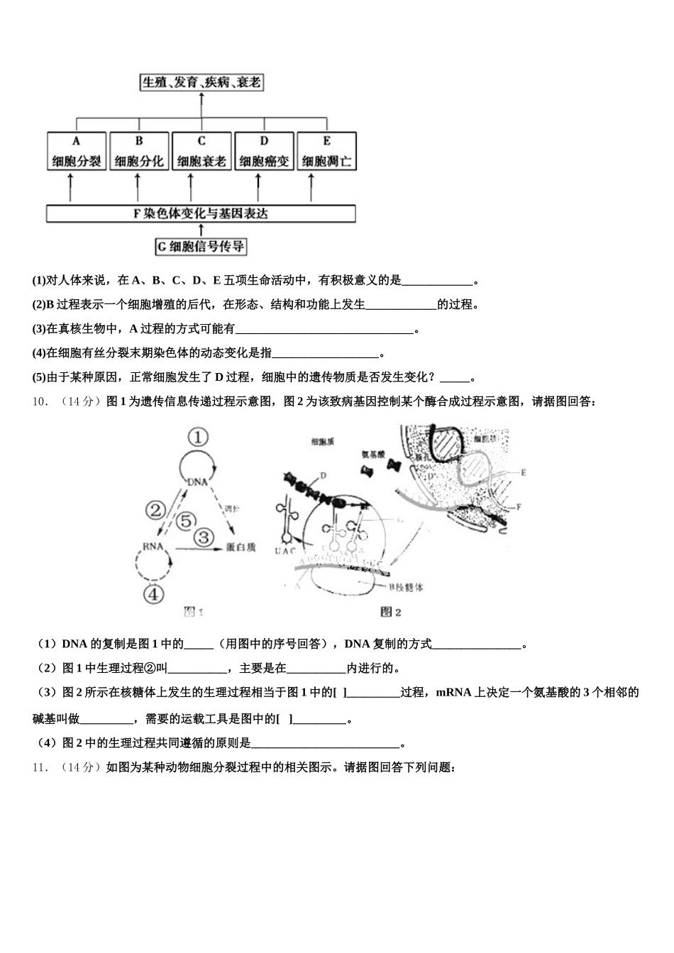 2024-2025学年甘肃省兰州市城关区第一中学高一下生物期末统考试题含解析_第3页