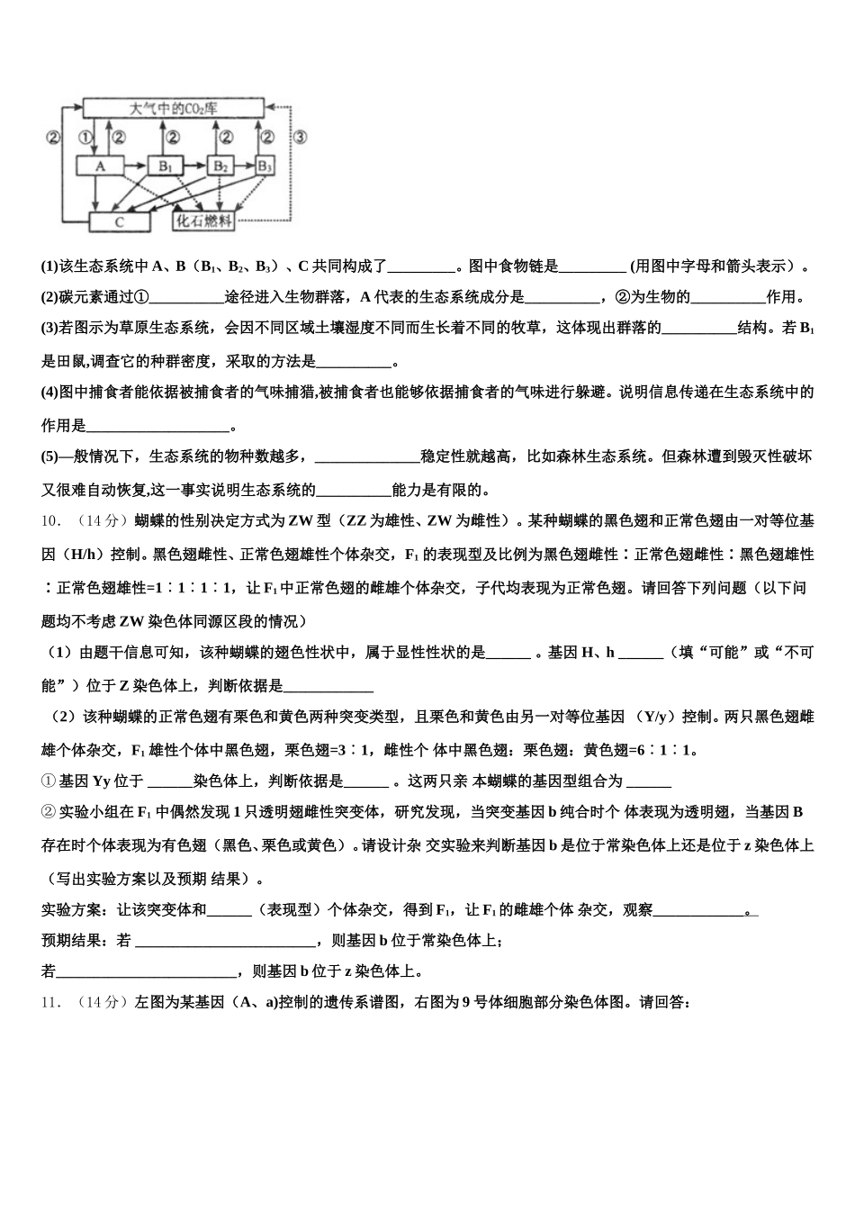 甘肃省民勤县第一中学2025届生物高一第二学期期末调研试题含解析_第3页