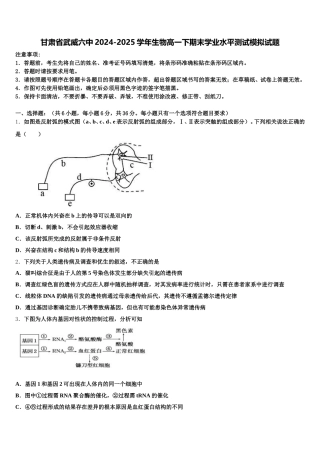 甘肃省武威六中2024-2025学年生物高一下期末学业水平测试模拟试题含解析