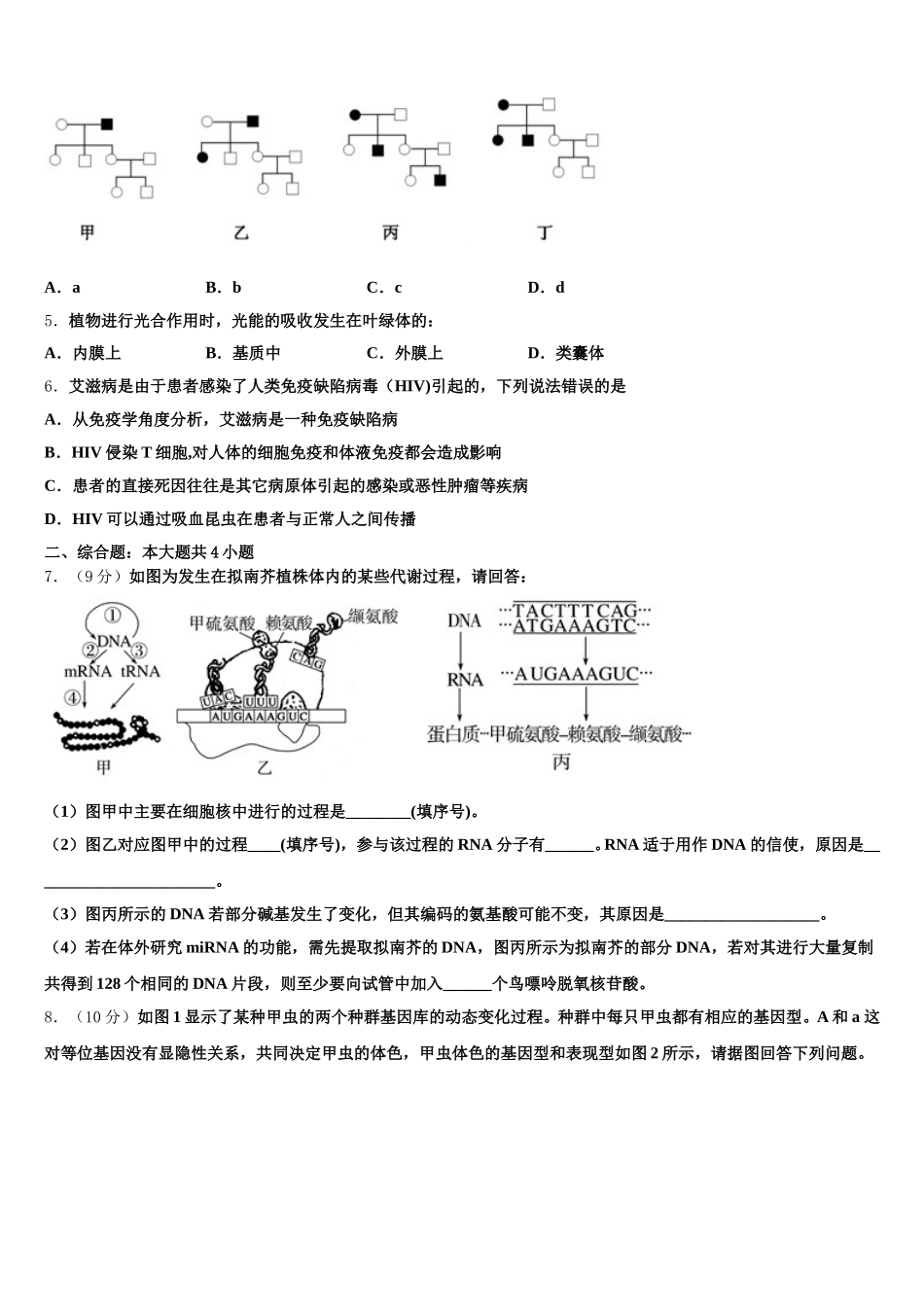 甘南市重点中学2024-2025学年高一下生物期末教学质量检测模拟试题含解析_第2页
