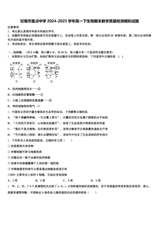 甘南市重点中学2024-2025学年高一下生物期末教学质量检测模拟试题含解析