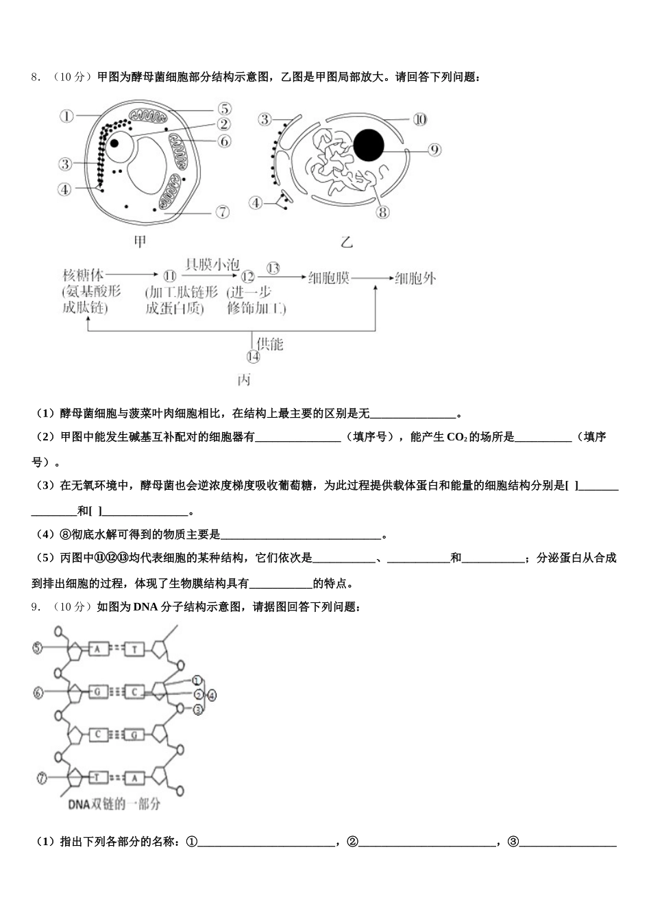 2024-2025学年甘肃省银川二中生物高一第二学期期末综合测试模拟试题含解析_第3页