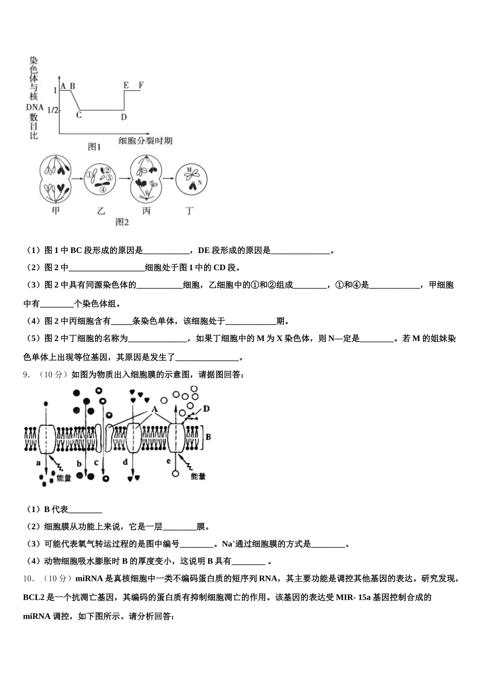 2024-2025学年甘肃省通渭县生物高一下期末联考模拟试题含解析_第3页