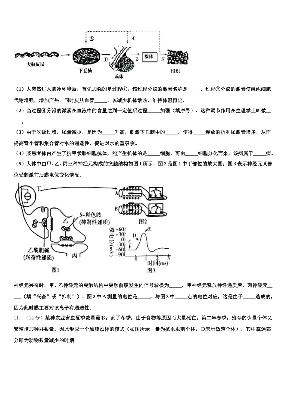 2025届甘肃省陇南市第五中学生物高一第二学期期末质量跟踪监视试题含解析_第3页