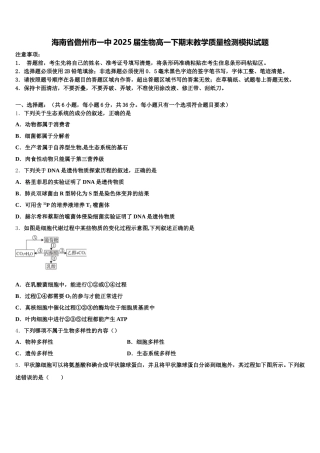 海南省儋州市一中2025届生物高一下期末教学质量检测模拟试题含解析